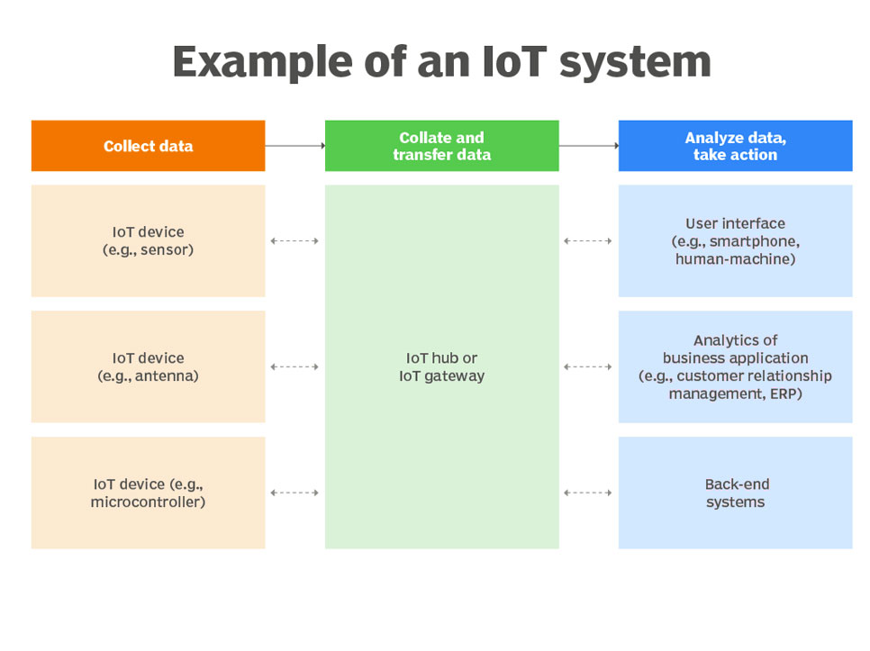 ienet